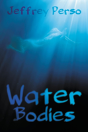 Water Bodies - Preview
