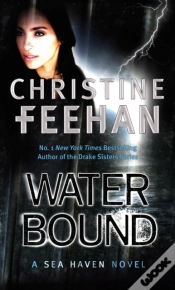 Capa do artigo Water Bound