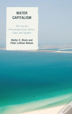 Capa do artigo Water Capitalism