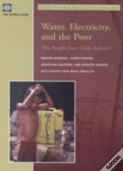 Capa do artigo Water, Electricity, And The Poor
