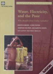 Capa do artigo Water, Electricity, And The Poor