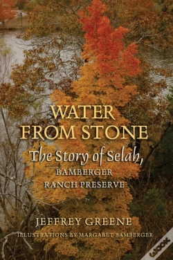Capa do artigo Water From Stone