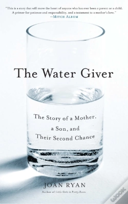Capa do artigo Water Giver