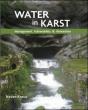 Water In Karst - Preview