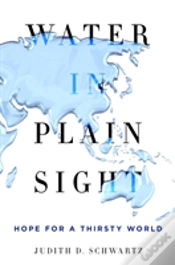 Capa do artigo Water In Plain Sight
