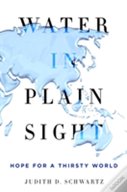 Capa do artigo Water In Plain Sight