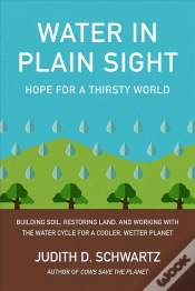 Capa do artigo Water In Plain Sight