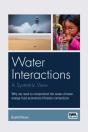 Water Interactions: A Systemic View - Preview