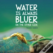 Capa do artigo Water Is Always Bluer On The Other Side