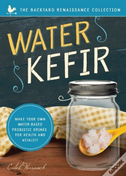 Capa do artigo Water Kefir