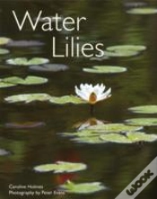 Capa do artigo Water Lilies