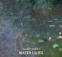 Water Lilies - Preview