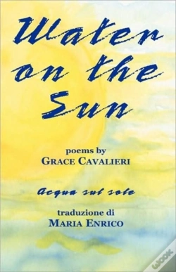 Capa do artigo Water On The Sun