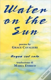 Capa do artigo Water On The Sun