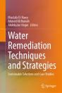 Water Remediation Techniques And Strategies - Preview