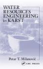 Water Resources Engineering In Karst - Preview
