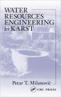 Water Resources Engineering In Karst - Preview