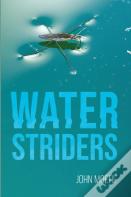 Water Striders