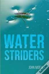 Water Striders