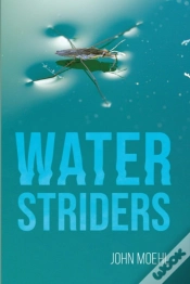 Capa do artigo Water Striders