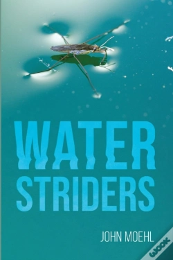 Capa do artigo Water Striders