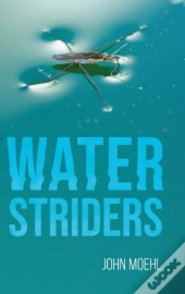 Water Striders
