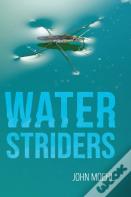 Water Striders