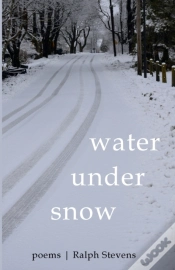 Capa do artigo Water Under Snow