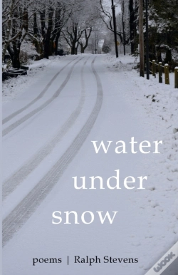 Capa do artigo Water Under Snow