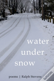 Capa do artigo Water Under Snow