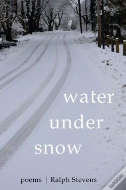 Capa do artigo Water Under Snow