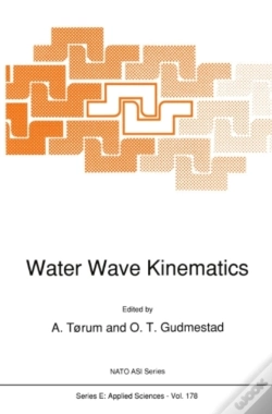 Capa do artigo Water Wave Kinematics