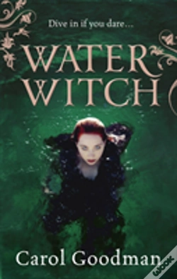 Capa do artigo Water Witch
