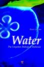 Water - Preview