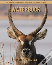 Capa do artigo Waterbuck