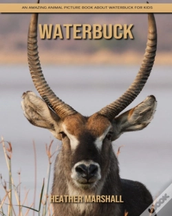 Capa do artigo Waterbuck
