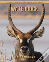 Waterbuck