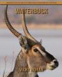 Waterbuck - Preview