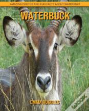 Waterbuck
