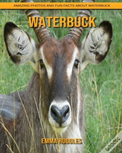 Capa do artigo Waterbuck