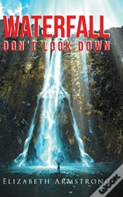 Capa do artigo Waterfall