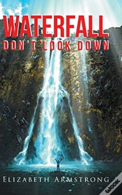 Capa do artigo Waterfall