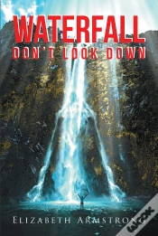 Capa do artigo Waterfall: Don
