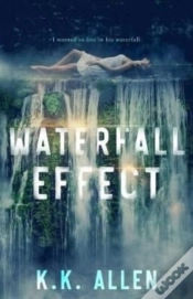 Capa do artigo Waterfall Effect