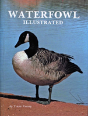 Waterfowl Illustrated - Preview
