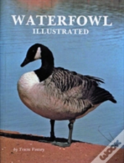 Capa do artigo Waterfowl Illustrated