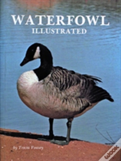 Capa do artigo Waterfowl Illustrated