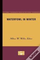 Waterfowl In Winter