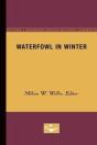 Waterfowl In Winter - Preview