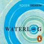 Waterlog - Preview